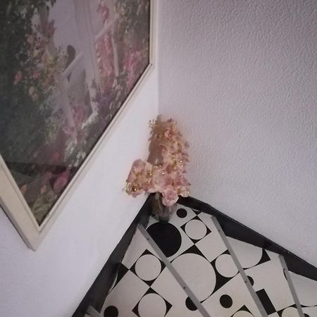 Hotel Cristo Rei بورتو المظهر الخارجي الصورة